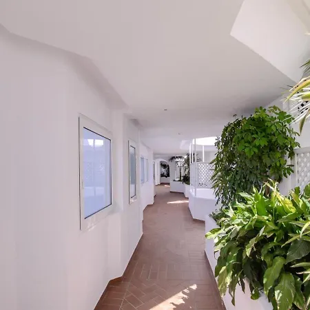 Precioso En Gaviotas *