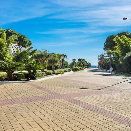 Precioso En Gaviotas *